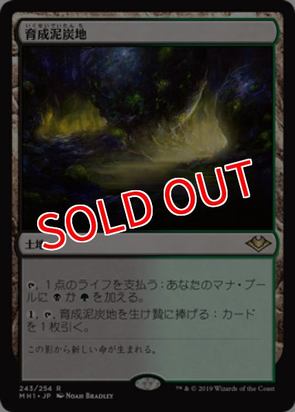 画像1: 【MH1】※FOIL※《育成泥炭地/Nurturing Peatland》【R】 (1)