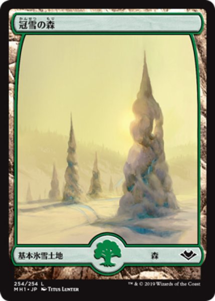 画像1: 【MH1】※FOIL※《冠雪の森/Snow-Covered Forest》【C】 (1)