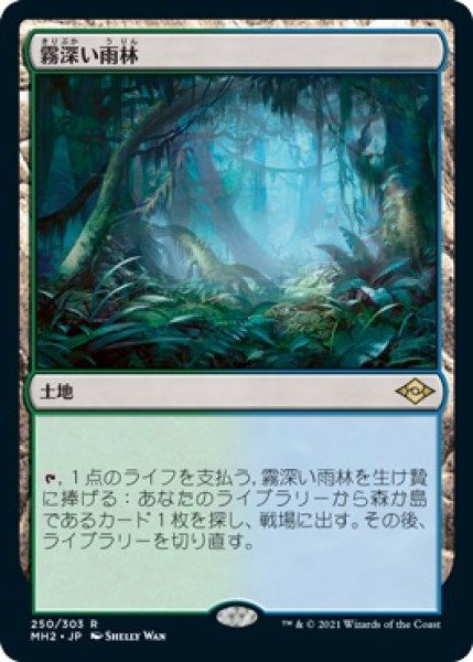 画像1: 【MH2】《霧深い雨林/Misty Rainforest》【R】 (1)
