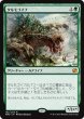 画像1: 【MM2】《タルモゴイフ/Tarmogoyf》【M】 (1)