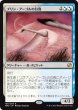 画像1: ※特価※【MM2】《ブリン・アーゴルの白鳥/Swans of Bryn Argoll》【R】 (1)