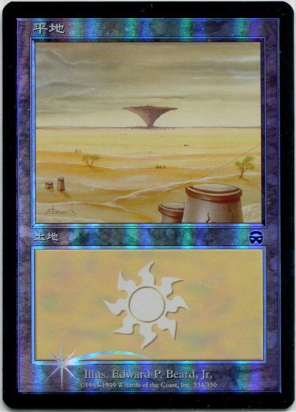 画像4: 【MMQ】※FOIL※《平地/Plains》【C】 (4)