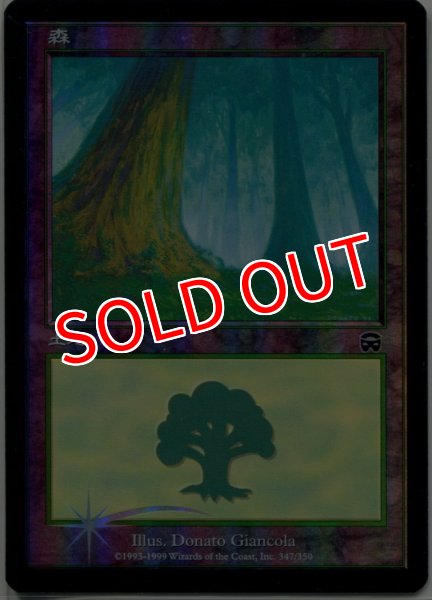 画像2: ※特価※【MMQ】※FOIL※《森/Forest》【C】 (2)