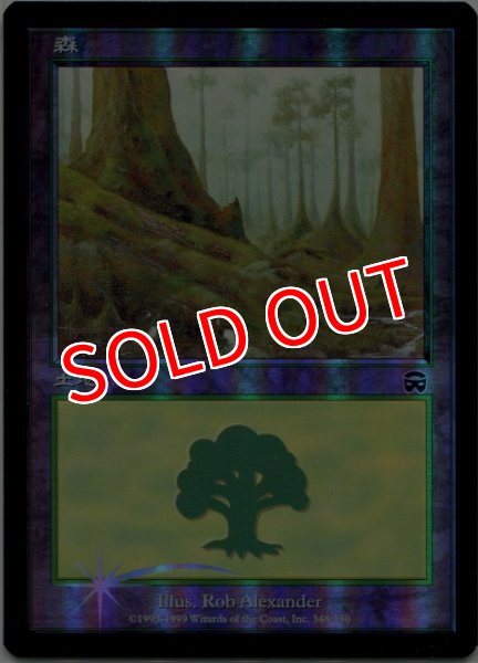 画像3: ※特価※【MMQ】※FOIL※《森/Forest》【C】 (3)