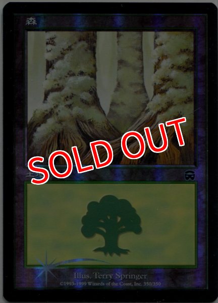 画像4: ※特価※【MMQ】※FOIL※《森/Forest》【C】 (4)