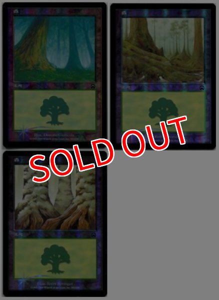 画像1: ※特価※【MMQ】※FOIL※《森/Forest》【C】 (1)