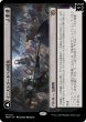 画像1: 【MOM】※FOIL※《イニストラードへの侵攻/Invasion of Innistrad》《死者の氾濫/Deluge of the Dead》【M】 (1)