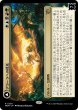 画像1: 【MOM】※FOIL※《アラーラへの侵攻/Invasion of Alara》《大渦の目覚め/Awaken the Maelstrom》【R】 (1)