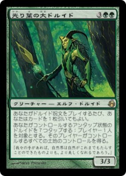 画像1: 【MOR】《光り葉の大ドルイド/Gilt-Leaf Archdruid》【R】 (1)