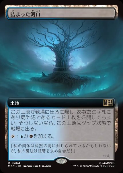 画像1: 【MSH/MSC】《詰まった河口/Choked Estuary》【R】 (1)