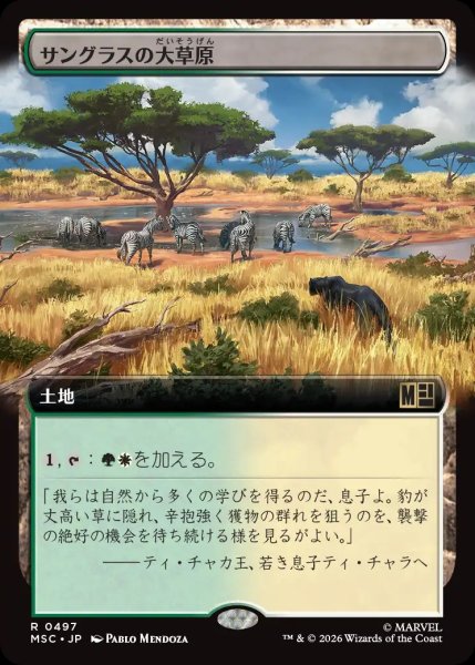 画像1: 【MSH/MSC】《サングラスの大草原/Sungrass Prairie》【R】 (1)