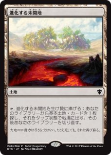 mtg 異界の進化 foil  4枚セット 0005.jpg