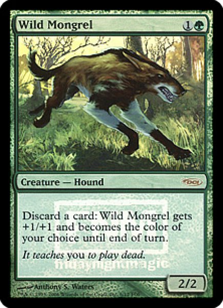 画像1: 【MTG/FNMPR】※Foil※《野生の雑種犬/Wild Mongrel》 (1)