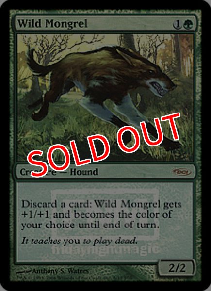 画像1: 【MTG/FNMPR】※Foil※《野生の雑種犬/Wild Mongrel》 (1)