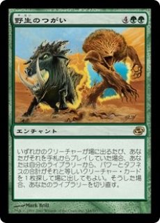 MTG デュエルデッキ 【GVL】《野生の雑種犬/Wild Mongrel》【C】
