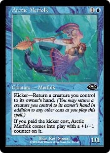 画像1: ※特価※【PLS】※Foil※《北極マーフォーク/Arctic Merfolk》【C】 (1)