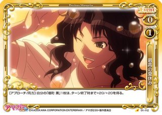 プレシャスメモリーズ 【PM-AGSP】桜井 梨穂子【U】