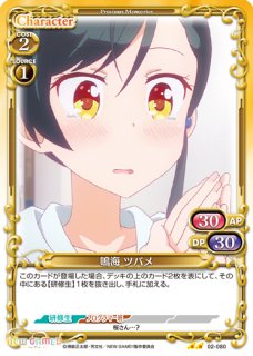 プレシャスメモリーズ NEW GAME!