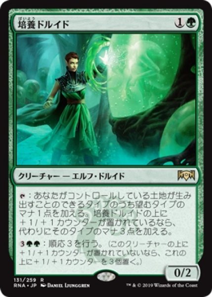 画像1: 【RNA/PrePR】※Foil※《培養ドルイド/Incubation Druid》【R】 (1)