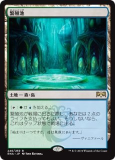 MTG 特価・傷有 シングルカード ※特価※【TMP】《反射池/Reflecting