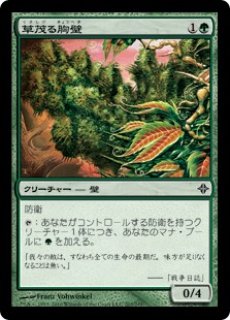 樹木茂る山麓 日本語版 ボックストッパー 2枚 樹木茂る山麓｜カードギャラリー｜マジック：ザ・ギャザリング