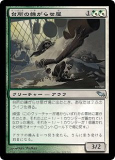 MTG エターナル 【EMA】《屍肉喰らい/Carrion Feeder》【C】