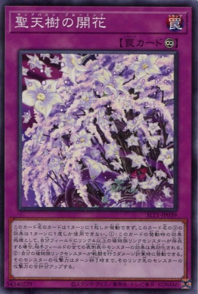 画像1: 【SLT1】《聖天樹の開花》【ノーマル】 (1)