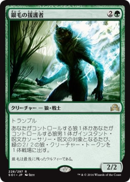 画像1: 【SOI/PrePR】※Foil※《銀毛の援護者/Silverfur Partisan》【R】 (1)