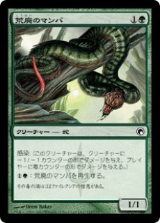 MTG プロモーションカード 【MTG/PR】《森/Forest》(arenaland