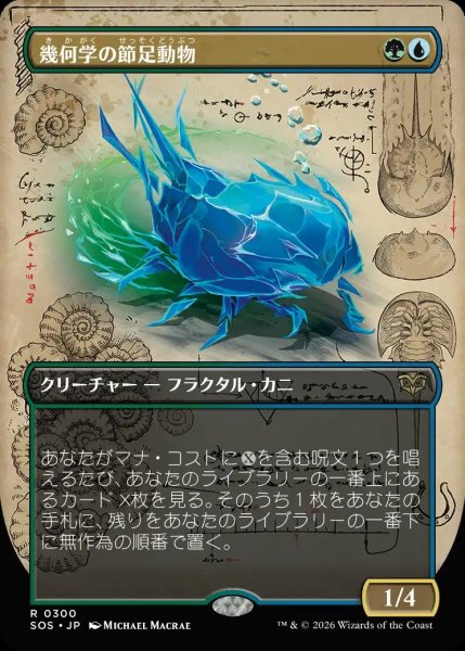 画像1: 【SOS】《幾何学の節足動物/Geometer's Arthropod》【R】 (1)