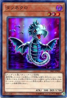 プレシャスメモリーズ ※箔押しサイン※【PM-HND】芥川 小代理【ST