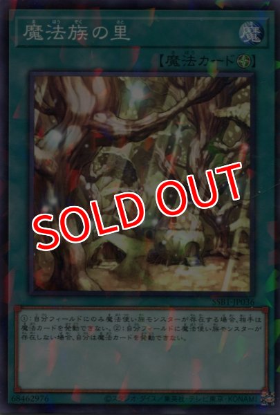 画像1: 【SSB1】《魔法族の里》【ノーマルパラレル】 (1)