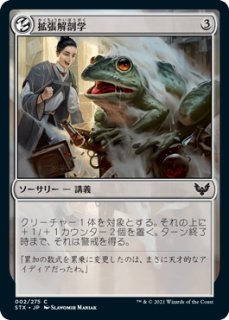 怒静の交錯 シンボルマークあり 266)《怒静の交錯/Furycalm Snarl》[STX] 土地R | 日本最大級