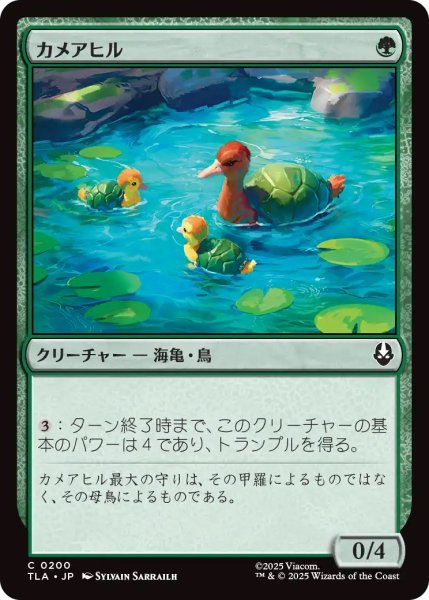 画像1: 【TLA】《カメアヒル/Turtle-Duck》【C】 (1)