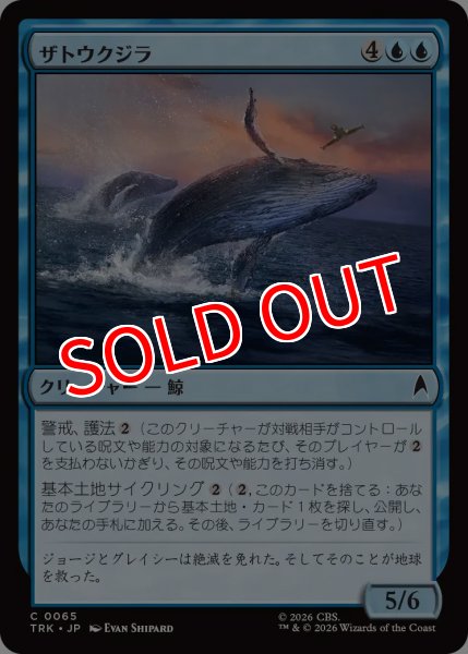 画像1: 【TRK】《ザトウクジラ/Humpback Whales》【C】 (1)