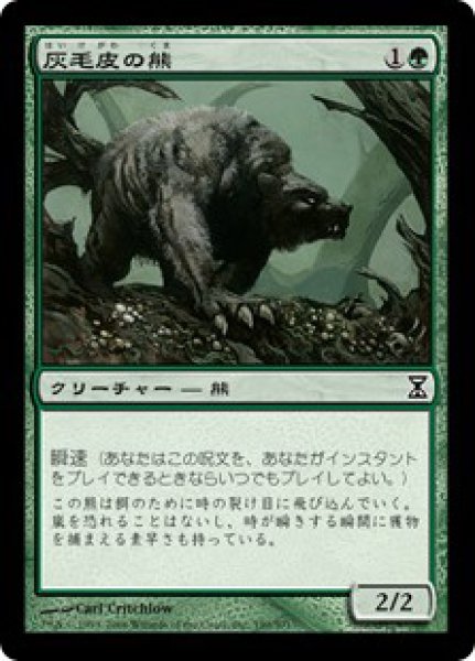 画像1: 【TSP】《灰毛皮の熊/Ashcoat Bear》【C】 (1)