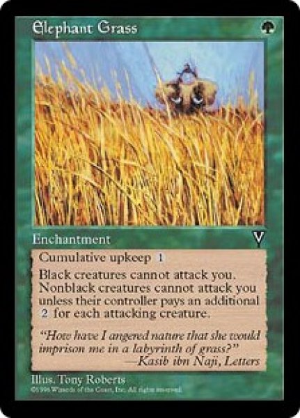 画像1: 【VIS】《エレファント・グラス/Elephant Grass》【U】 (1)