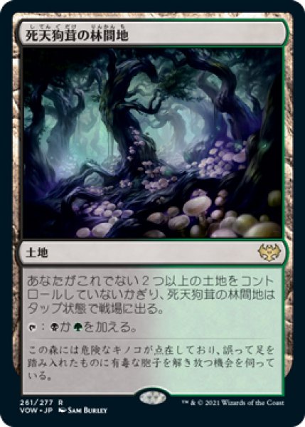 画像1: 【VOW】※FOIL※《死天狗茸の林間地/Deathcap Glade》【R】 (1)