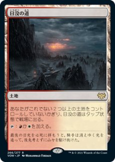 MTG　嵐削りの海岸　銀幕FOIL　DBL　3枚セット MTG 嵐削りの海岸 銀幕FOIL DBL 3枚セット 銀幕・Foil】(532)《嵐