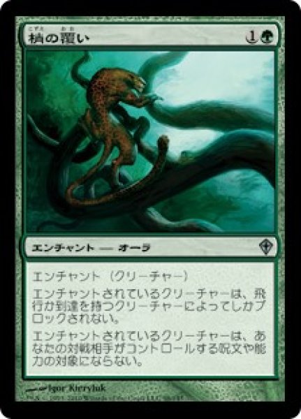 画像1: 【WWK】《梢の覆い/Canopy Cover》【U】 (1)