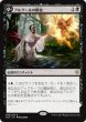 画像1: 【XLN】※Foil※《アルゲールの断血/Arguel's Blood Fast》《アクロゾズの神殿/Temple of Aclazotz》【R】 (1)