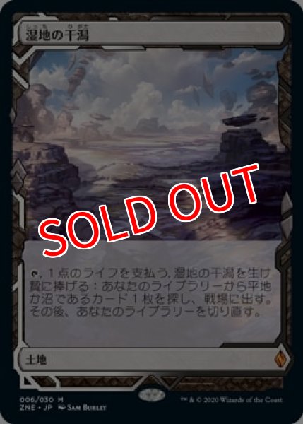 画像1: 【ZNE】《湿地の干潟/Marsh Flats》【M】 (1)