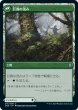 画像2: 【ZNR】《巨森の補強/Vastwood Fortification》《巨森の茂み/Vastwood Thicket》【U】 (2)