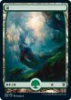 画像3: 【ZNR】※FOIL※《森/Forest》【L】 (3)