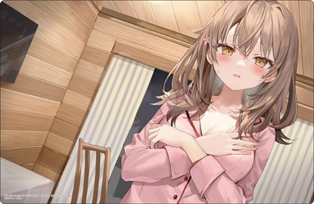 予約商品】ブシロード ラバーマットコレクション V2 Vol.1687